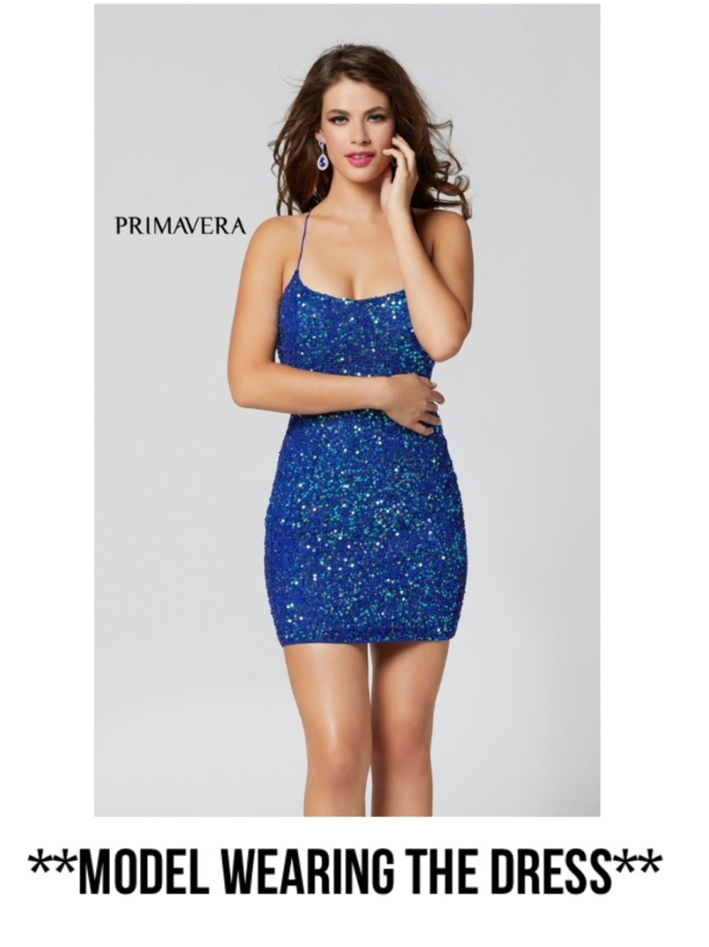 Primavera Blue Dress